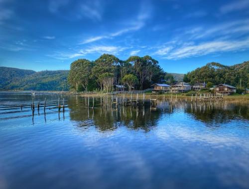 Proyecto Bosque Rio Llico, Puerto Varas