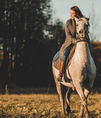 Proyecto Bosque Rio Llico, Puerto Varas