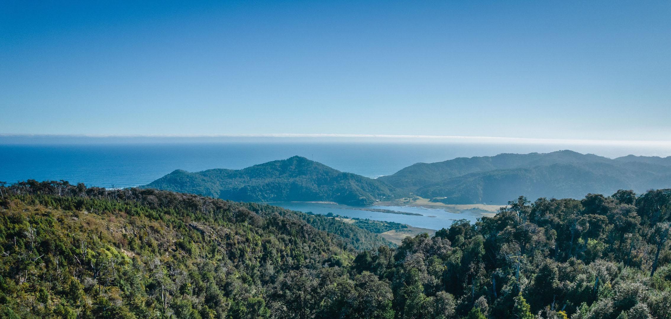 Proyecto Bosque Rio Llico, Puerto Varas