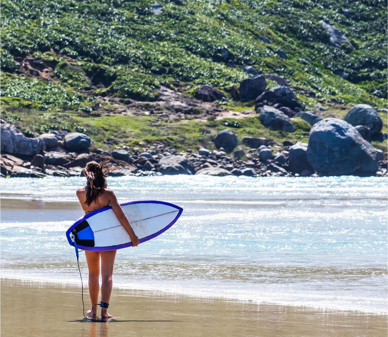 Proyecto Bosque Rio Llico, Puerto Varas