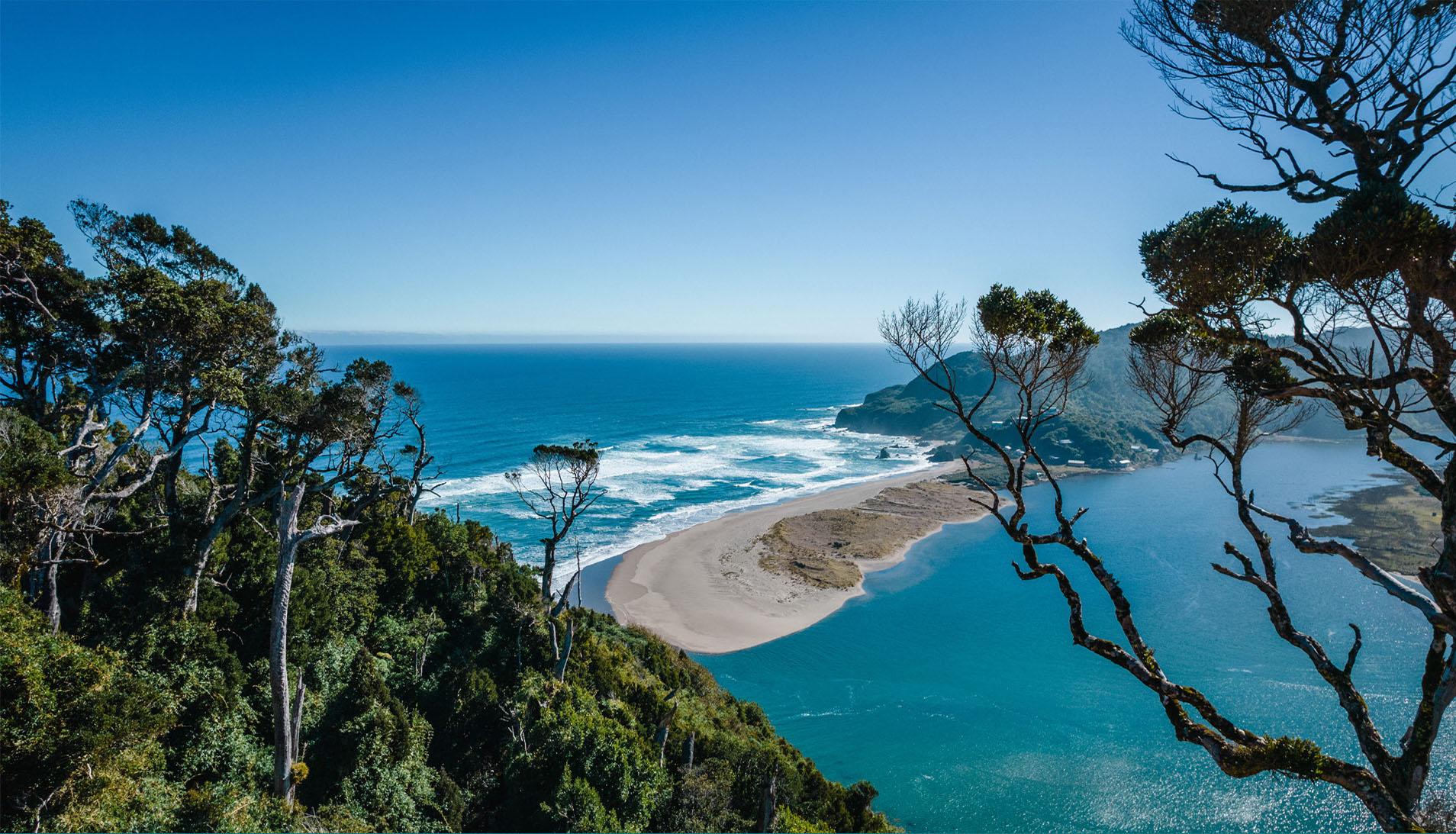Proyecto Bosque Rio Llico, Puerto Varas
